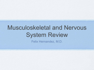 Musculoskeletal and Nervous System Review