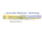 Ayurvedic Medicine: Herblogy