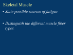 Skeletal Muscle Problems