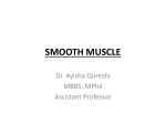 COMPARISON OF SKELETAL & SMOOTH MUSCLE …