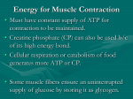 Muscles and Muscle Tissue