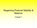 Chapter 8: Regaining Stability and Balance