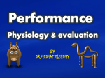 Performance Physiology & valuation