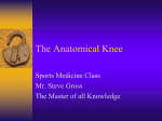 The Anatomical Knee - Helena Public School District