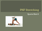PNF Stretching