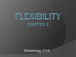 Flexibility Chapter 4