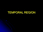 TEMPORAL REGION