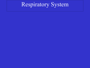 Respiratory - Daphne - A Palomar College Web Server