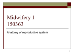Midwifery 1 150363