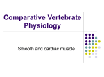 Comparative Vertebrate Physiology