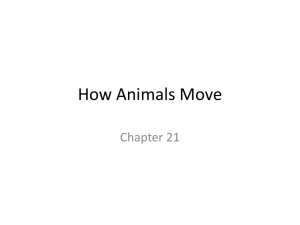How Animals Move - Harford Community College