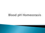 Blood pH Homeostasis