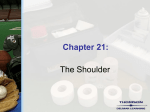 Chapter 21 - The Shoulder
