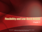 Sample Flexibility Exercises