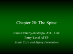 Chapter 25: The Spine