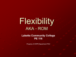 Introduction to Flexibility - The Red Zone