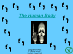 The Human Body - SCHOOLinSITES