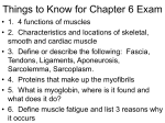 Things to Know for Chapter 6 Exam