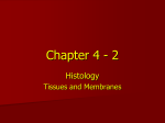 Chapter 3-2