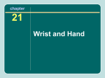 chapter 21 Wrist and Hand Importance of the Hand