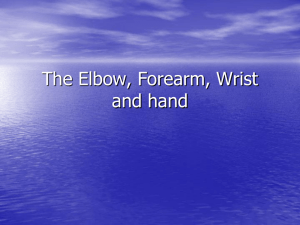 The Elbow, Forearm, Wrist and hand