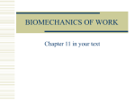 BIOMECHANICS OF WORK