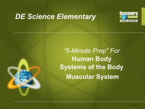 DE Science Elementary “5