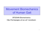 Movement Biomechanics of Human Gait