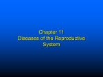 Human Disease Ch 11