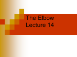 Lecture 14 the elbow