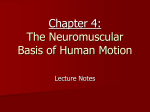 Chapter_4_Neuromuscular