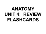 Review Flashcards (PowerPoint)