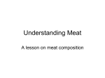 Understanding Meat