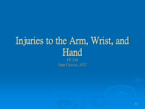 The Elbow / Wrist & Hand