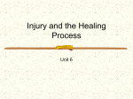 6.Healing - student notes