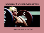 Exercise and Aging Skeletal Muscle