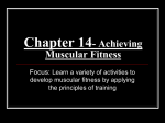 Chapter 14- Achieving Muscular Fitness 41911