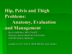 Hip, Pelvis, & Thigh Problems PPT
