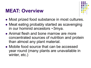MEAT: Overview - The Beacon School