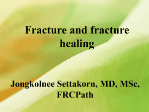 Gustilo and Anderson classification of open fractures