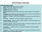 WTC-Fitness Overview