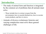 Animal Tissues and Organs