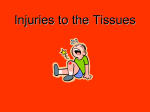 Injuries to the Tissues