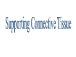 SupportingConnective