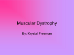 Muscular Dystrophy - Freeman2301porfolio