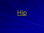 Hip