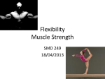 T7 Flexibility & Muscle Strength