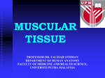 muscular tissue - UMK CARNIVORES 3