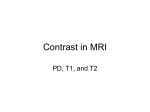 Contrast in MRI