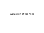 Evaluation of the Knee